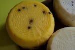 Pecorino au safran et poivre noir – Image 5