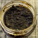 Sauce à l'encre de seiche – Image 2